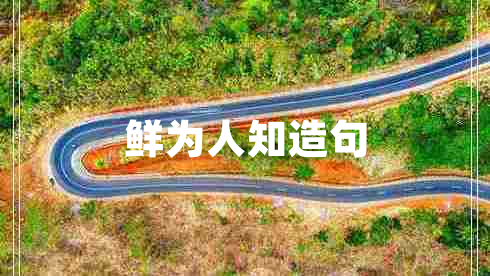 鮮為人知造句