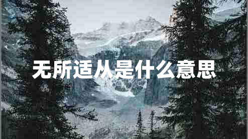 無(wú)所適從是什么意思