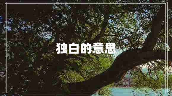 獨白的意思