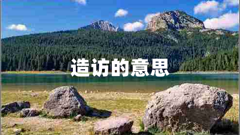 造訪(fǎng)的意思
