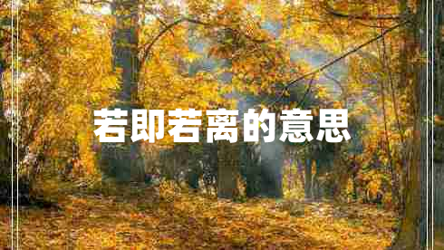 若即若離的意思