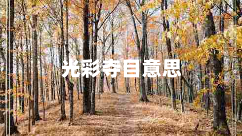 光彩奪目意思