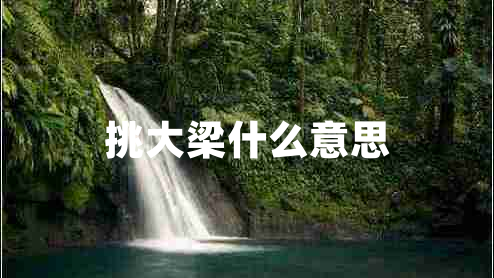 挑大梁什么意思