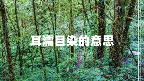 耳濡目染的意思