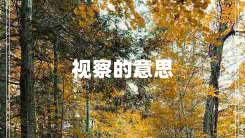 視察的意思