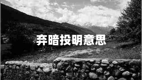 棄暗投明意思