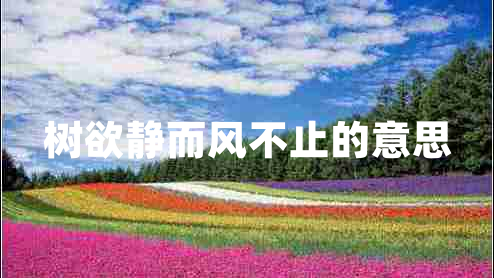 樹(shù)欲靜而風(fēng)不止的意思