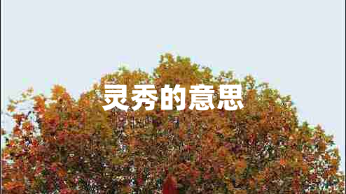 靈秀的意思