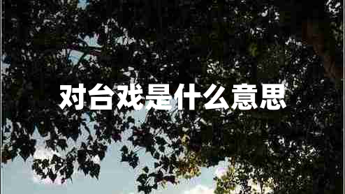 對臺戲是什么意思