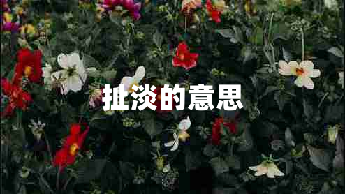 扯淡的意思