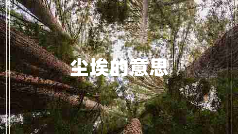 塵埃的意思