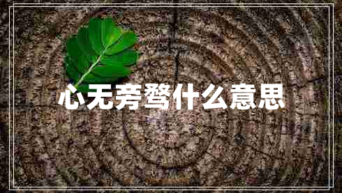 心無(wú)旁騖什么意思