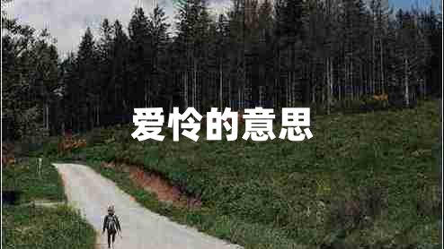 愛(ài)憐的意思