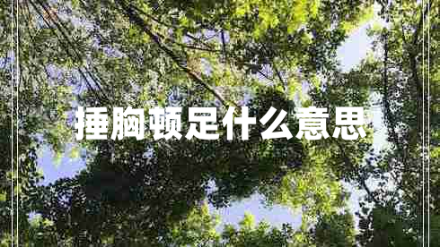 捶胸頓足什么意思