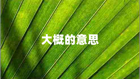 大概的意思