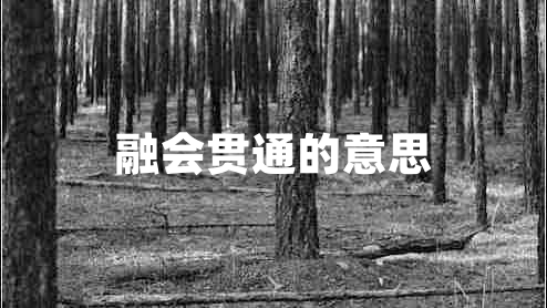 融會(huì )貫通的意思