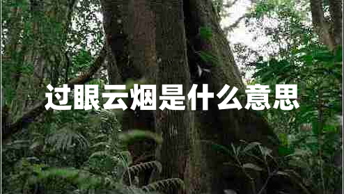 過(guò)眼云煙是什么意思