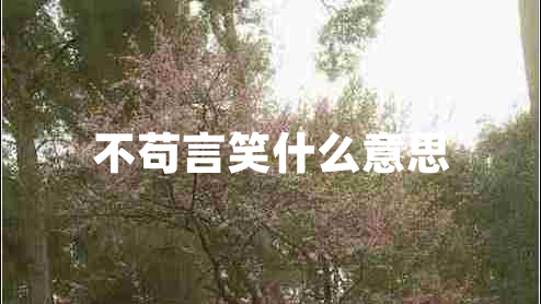不茍言笑什么意思