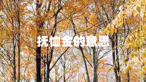 撫恤金的意思