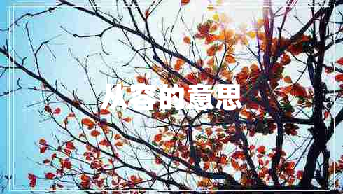 從容的意思