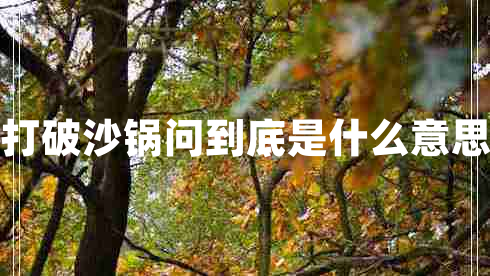 打破沙鍋問(wèn)到底是什么意思