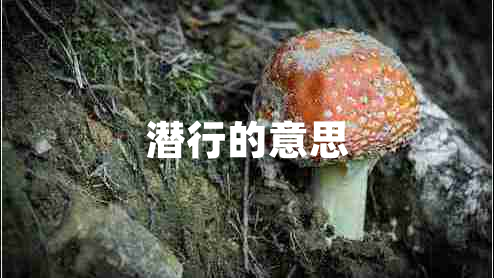 潛行的意思
