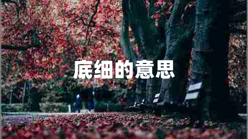 底細的意思
