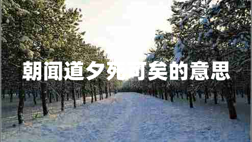 朝聞道夕死可矣的意思