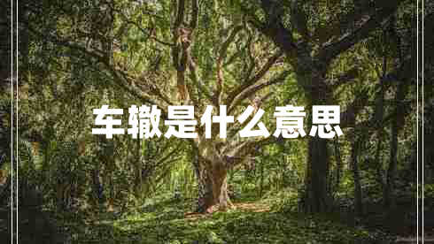車(chē)轍是什么意思