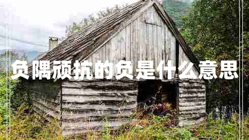 負隅頑抗的負是什么意思