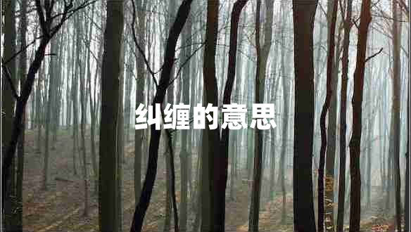 糾纏的意思