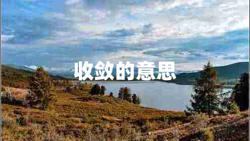 收斂的意思