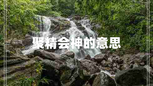 聚精會(huì )神的意思