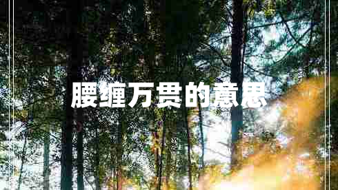 腰纏萬(wàn)貫的意思