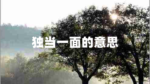 獨當一面的意思