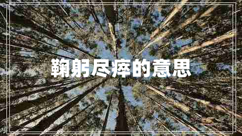鞠躬盡瘁的意思