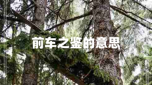 前車(chē)之鑒的意思