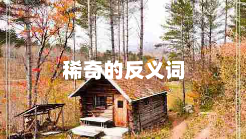 稀奇的反義詞
