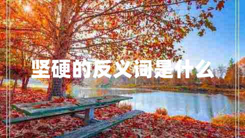 堅硬的反義詞是什么