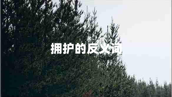 擁護的反義詞