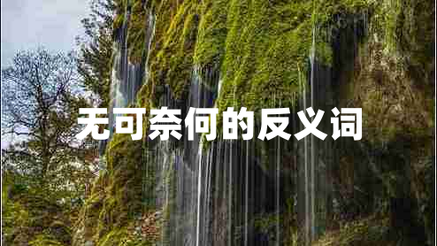 無(wú)可奈何的反義詞