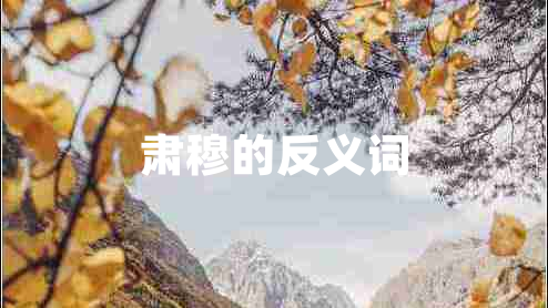 肅穆的反義詞