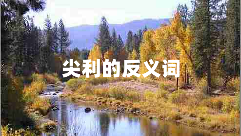 尖利的反義詞