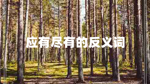 應有盡有的反義詞