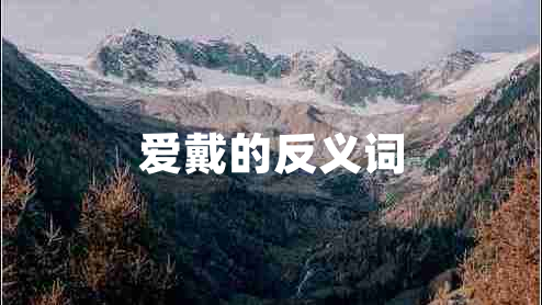 愛(ài)戴的反義詞