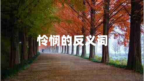 憐憫的反義詞