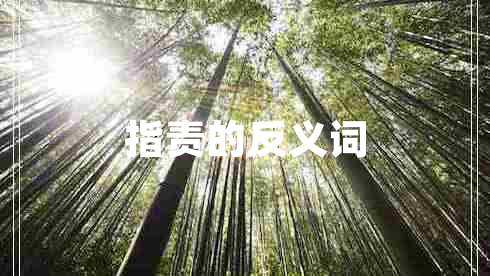 指責的反義詞