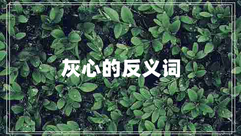 灰心的反義詞