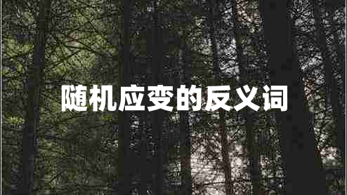 隨機應變的反義詞