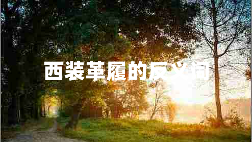 西裝革履的反義詞